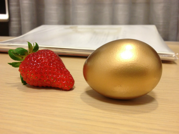 Goose That Laid the Golden Egg Hiding Somewhere in Japan
