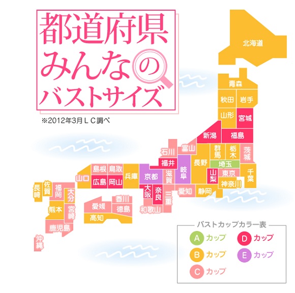 Gifu, Kyoto Rack Up Highest Averages in Japanese Boob Size Survey