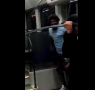Last Samurai Caught on Video on a Train in Arizona, Rescues Passenger Being Beaten