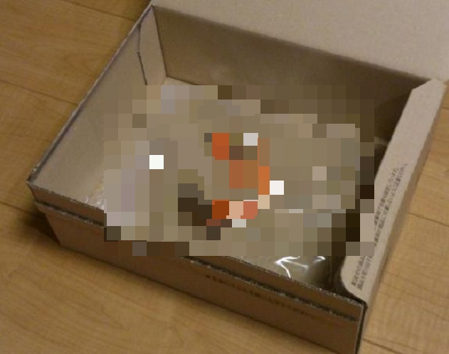 Amazon JP Sets New Standard in Surreal Packaging, Startled Customer Tweets Photo