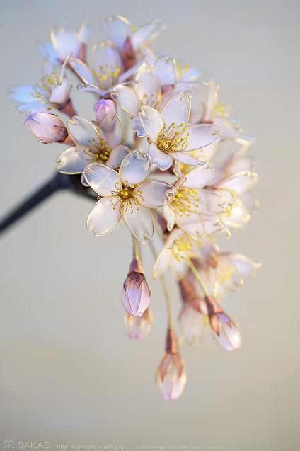 Her No. 3 'Sakura' cherry blossom kanzashi