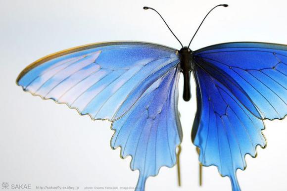 Kanzashi Papilio maackii