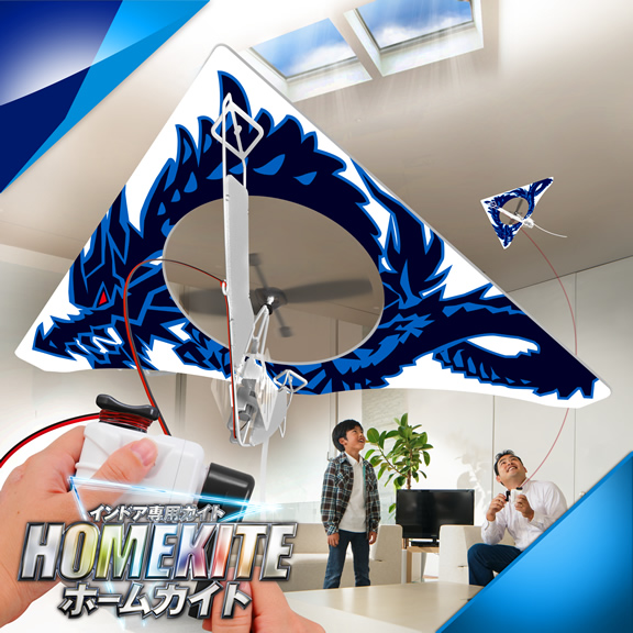 Go Fly a Kite?! Not Any More! With Homekite You Can Stay Right Where You Are