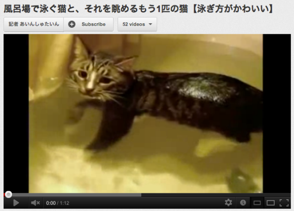 Adorable Cat Swims in Bathtub