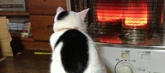 Genius Feline Inventor Creates Heat Generating Device!