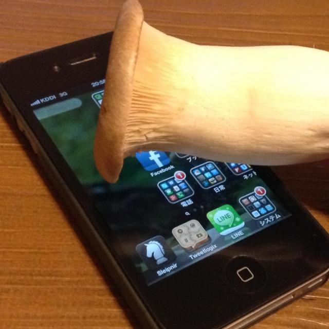 Your iPhone Likes to Be Touched With Mushrooms