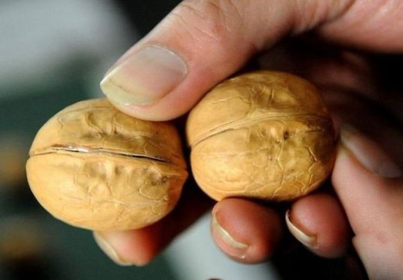 fake walnuts in China