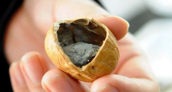 fake walnuts in China4