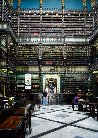World's best libraries8