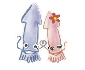 Squid Sperm – One More Reason to Not Eat It