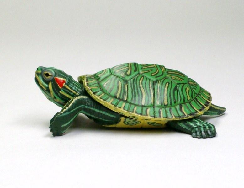 Korean Remote Controlled Turtle Project Making Slow But Steady Progress