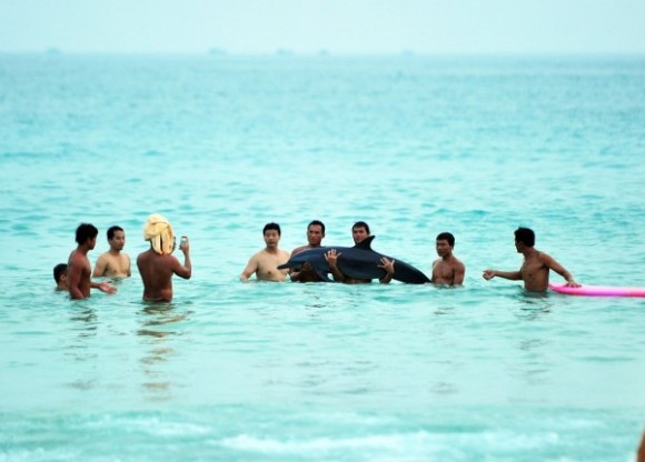 tourists-taking-pictures-with-stranded-dolphin-angers-netizens-06-600x431