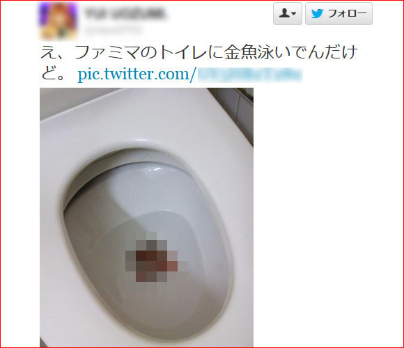 Twitter user finds something fishy in convenience store toilet