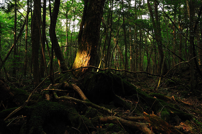 The top 10 haunted spots in Japan as chosen by a professional ghost ...