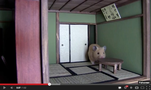 Pet owner builds tiny ninja house for hamster, escape panels and hidden doors galore
