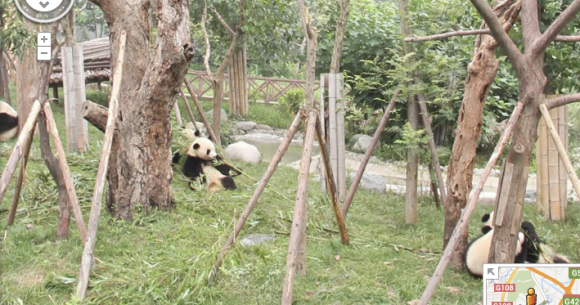Spend a day at the zoo on Google Maps | SoraNews24 -Japan News-