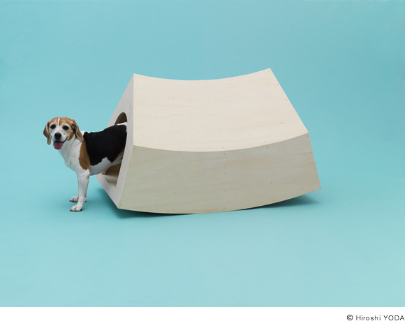 architecture for dogs