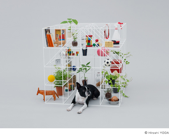 architecture for dogs3