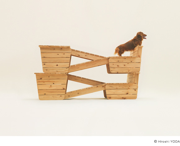 architecture for dogs5