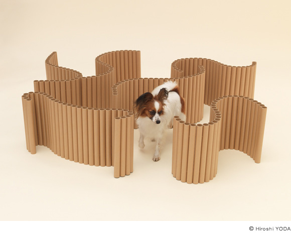 architecture for dogs6