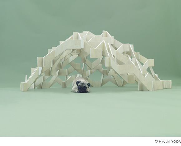 architecture for dogs7