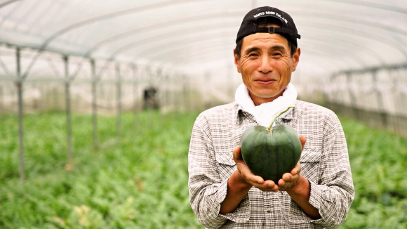 Japanese farmer creates the world’s first heart-shaped watermelon
