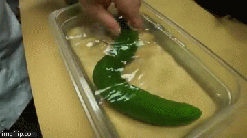 It’s alive! How to turn a cucumber into a writhing snake