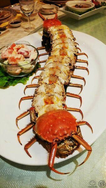Would you eat this centipede crab?