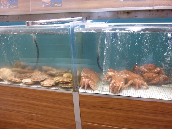 Chitose sea food live crab