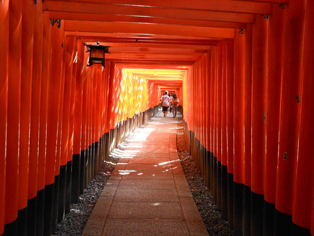 Foreign visitors pick the 20 coolest places in Japan