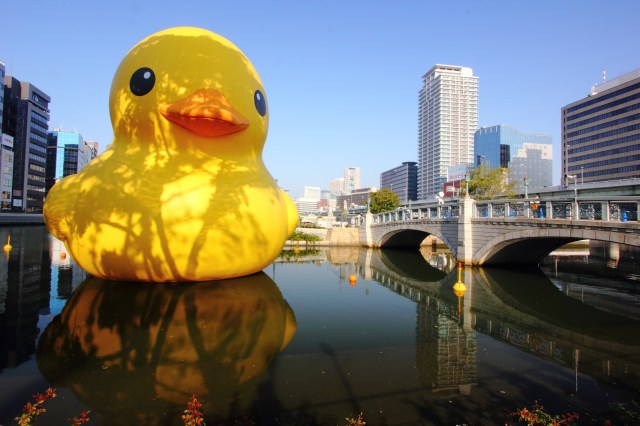 Giant rubber duck arrives in Osaka!