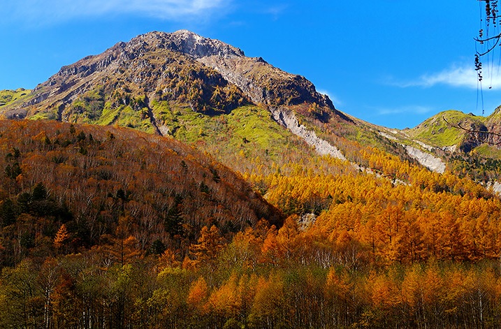 The 10 Best Places In Japan For Autumn Leaves 