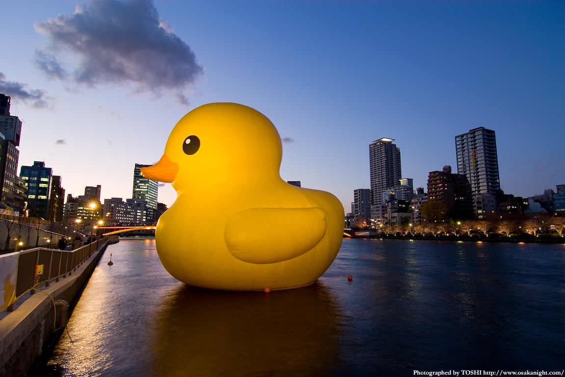 Giant rubber duck arrives in Osaka! | SoraNews24 -Japan News-