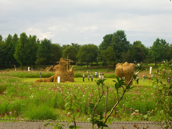 The giant straw sculptures of Japan 16