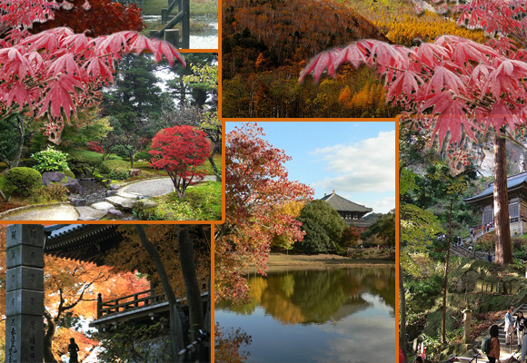 The 10 best places in Japan for autumn leaves