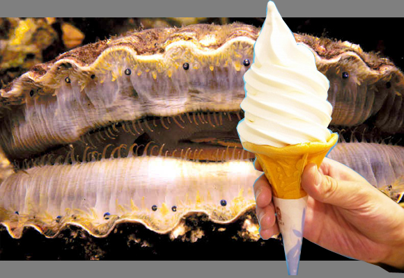 Scallop flavored ice cream: it’s magically delicious!