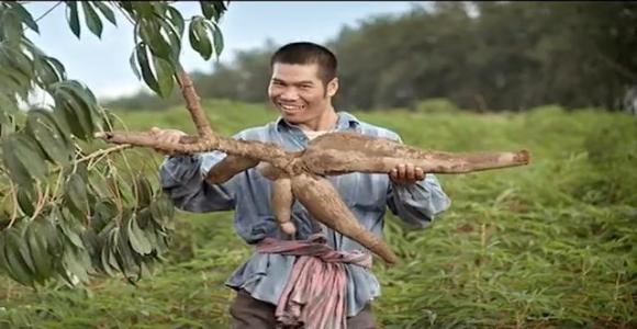 Thai commercial hopes you get aroused by their fertilizer | SoraNews24  -Japan News-