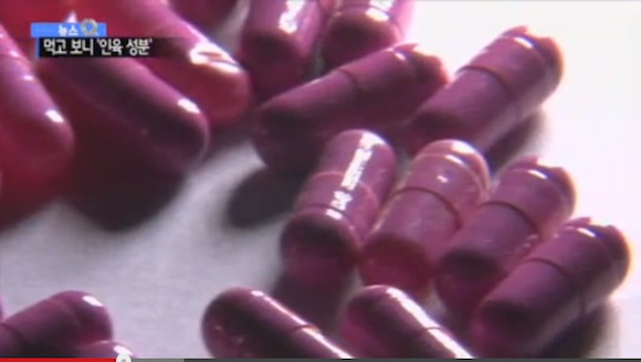 South Korea busts smugglers for “diet pills” containing human flesh