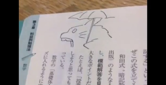 Ghibli tribute video impresses again — this time as amazing flip book animation!