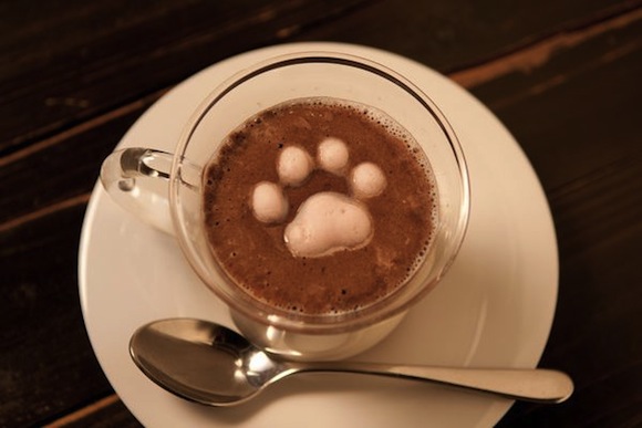 marsh latte art