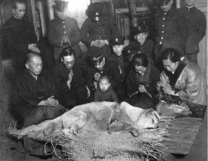 Người dân làm lễ tang cho chú chó Hachiko Nhật Bản