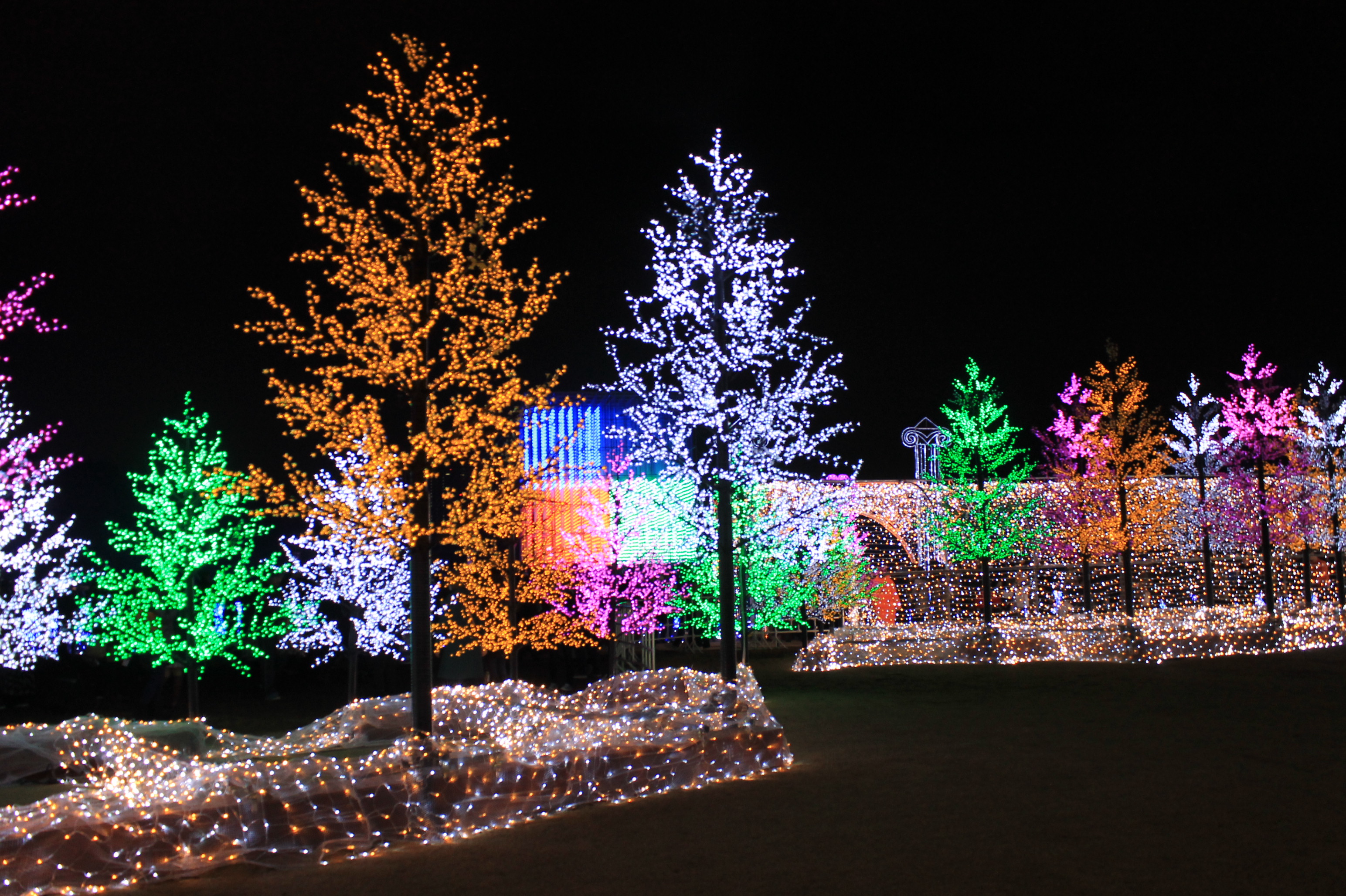 Osaka Castle backdrop for brain-melting 3D light show【Photos and Video ...