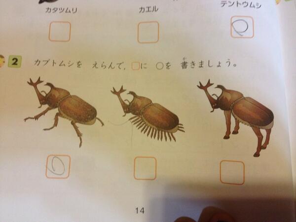 School kids in Japan learn about bugs, terrifying miniature horse-beasts and baby Ohmus