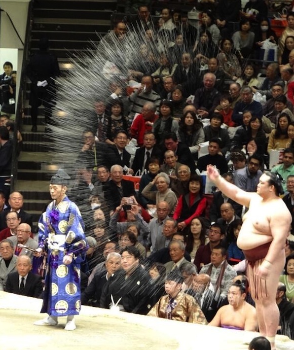 Perfectly timed photo at sumo match captures moment of surprising beauty, sumo super powers
