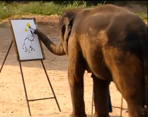 We knew elephants could paint, but we didn’t expect them to be so good at it!【Video】