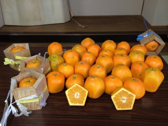 Ensure your fruit never rolls away with pentagon oranges | SoraNews24