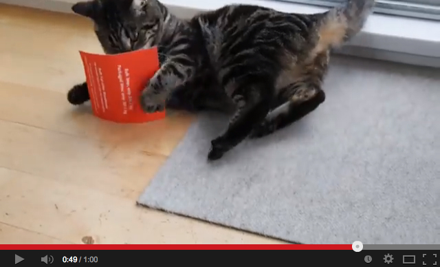 It’s not for you, it’s for the cat! The ad company sending catnip-scented mail