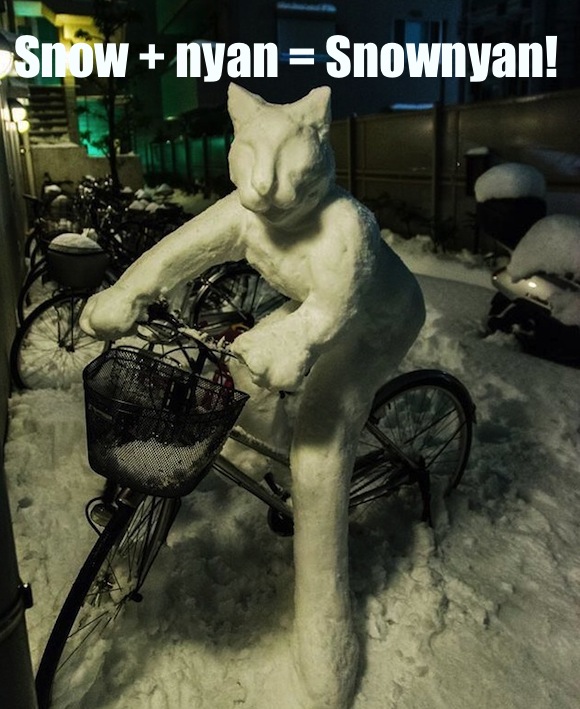 We have a winner! Bicycle-riding snow cat gets full marks for awesomeness