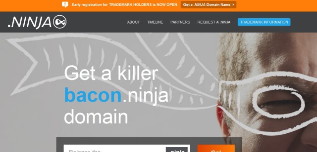 Starting a new website? Why not make it a “.ninja” domain?