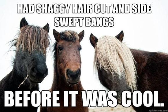 Hipster horses
